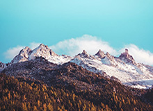 辉达娱乐-英超-马杜埃凯破门波特扳平 阿森纳1-1布伦特福德